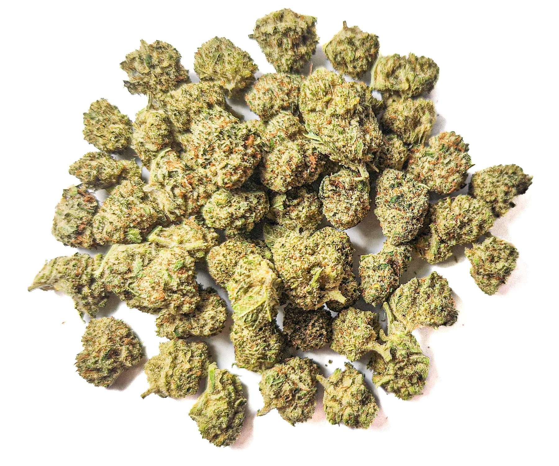 WEEDREAM California Haze Indoor - Medium buds