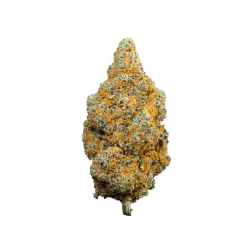 WEEDREAM Blueberry Muffin - Limited Edition