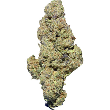 Jack Frost Premium - Indoor