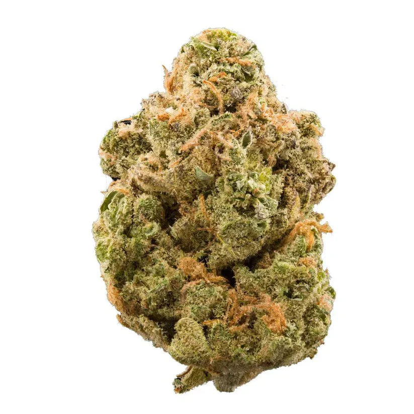 WEEDREAM Critical Star - Limited Edition