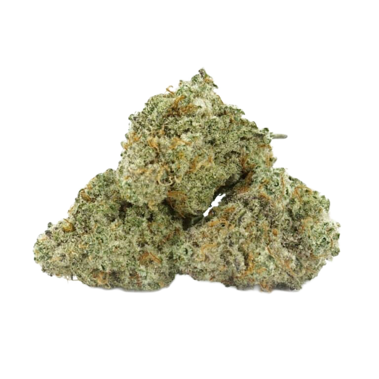 Northern Light X Indoor - Medium buds – fleur CBD Weedream