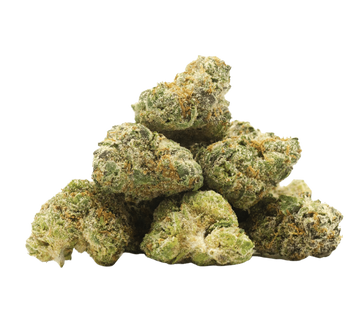 Northern Light X Indoor - Mini buds – fleur CBD Weedream
