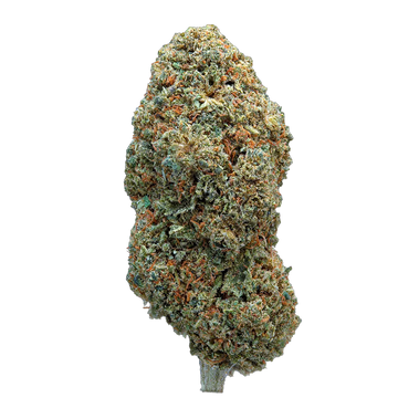 Strawberry Cream – Hybride – fleur CBD Weedream