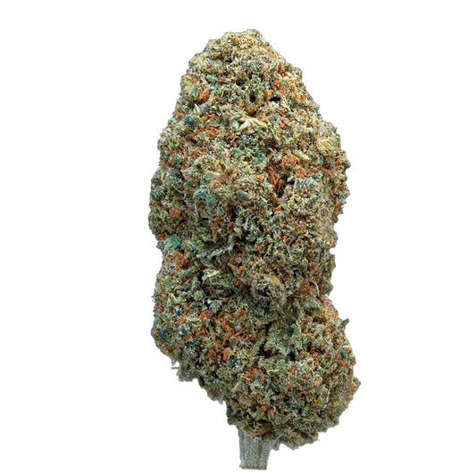 Strawberry Cream – Hybride – fleur CBD Weedream